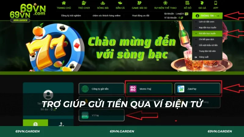 Trợ giúp tiền gửi qua ví điện tử